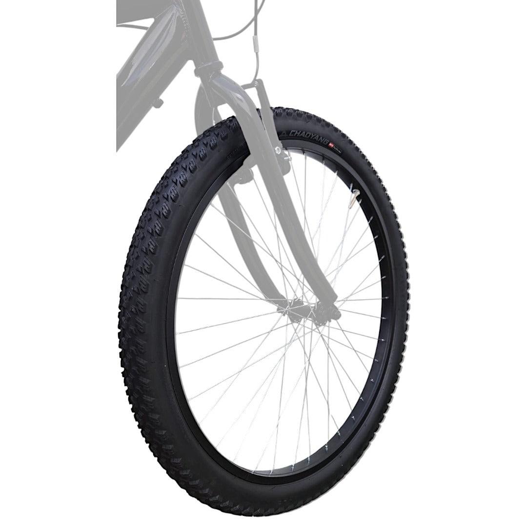 Lanta Rodado 26x2.25 Montaña Chaoyang Hornet