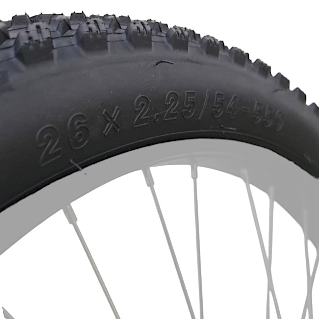 Lanta Rodado 26x2.25 Montaña Chaoyang Hornet