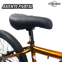 Bicicleta R20 Chepe Joy Rider Bmx Dorada Centro Mid