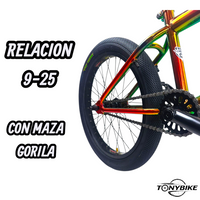 Bicicleta R20 Chepe Joy Rider Bmx Tornasol Centro Mid