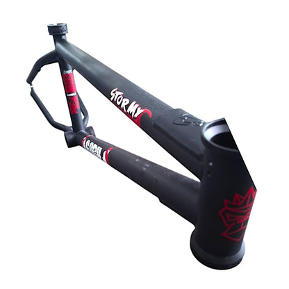 Cuadro R20 Gorila Stormy Color Negro Cromolio Centro Mid