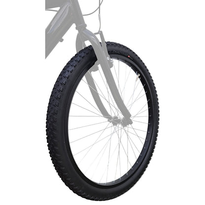 Lanta Rodado 26x2.25 Montaña Chaoyang Hornet
