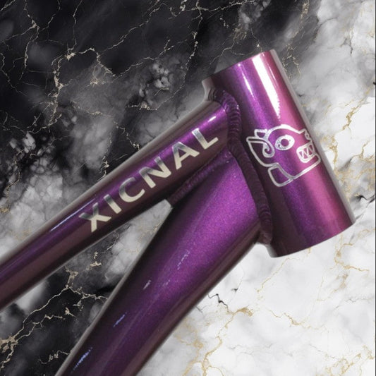 Cuadro VG Bikes Xicnal Morado R26 Dirt