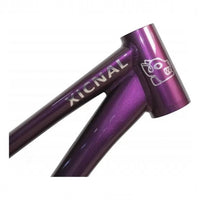 Cuadro para bicicleta de dirt jump TONYBIKESGDL Xicnal de aluminio en color púrpura metalizado con logo grabado