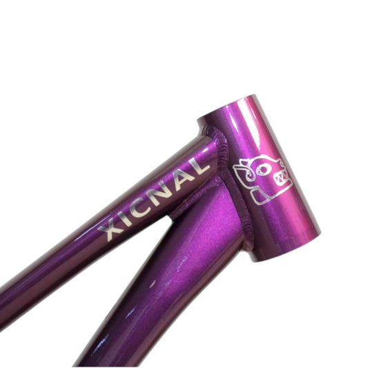 Cuadro VG Bikes Xicnal Morado R26 Dirt